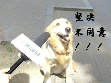 工程机械快换辅具 第318页
