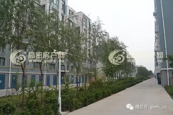 高密最新房源，科技重塑居住新体验，优质房源一览无余