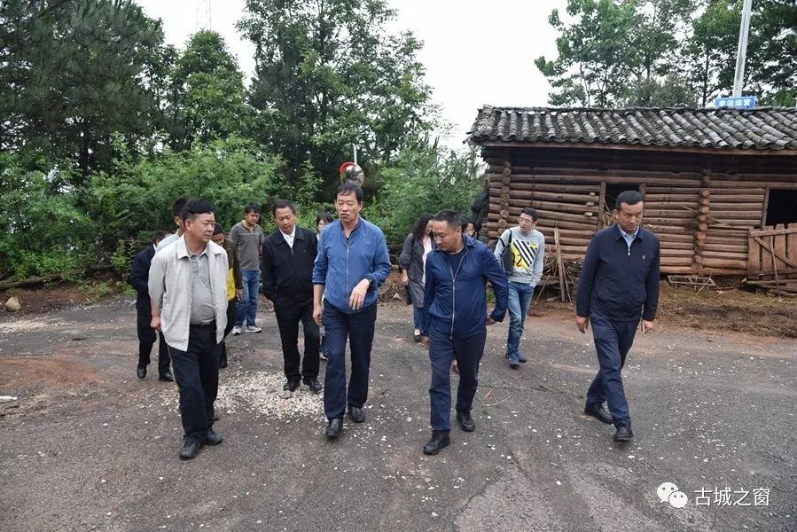 红河州王建新的新篇章，最新任职及其深远影响力
