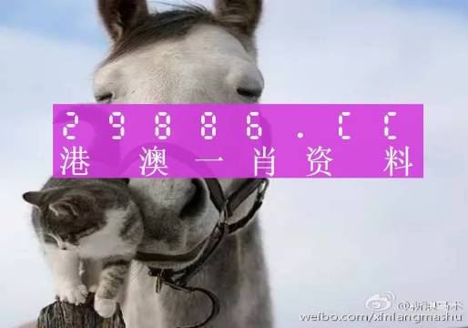 今晚必中一肖一码四不像,实地研究解答协助_冷静版22.734