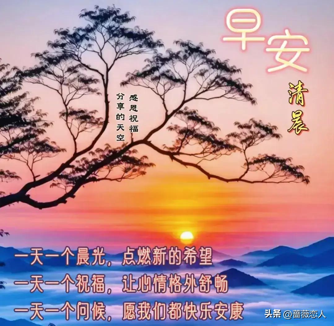 2024年天天彩免费资料,实地数据验证_游戏版61.342