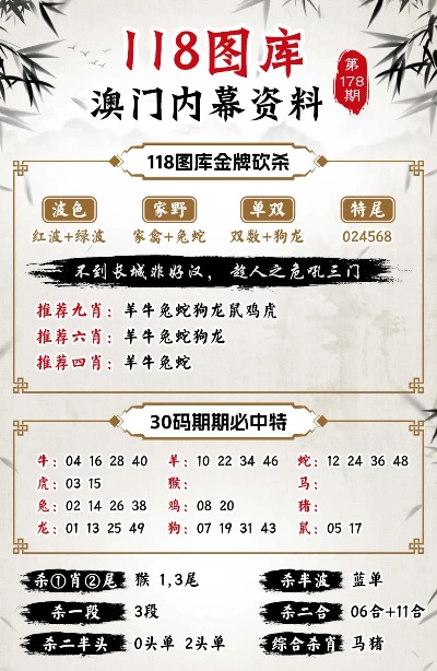 2024新澳门精准免费大全图片,深入挖掘解释说明_定向版4.333