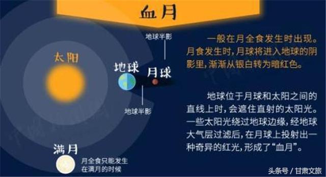 2024澳门六今晚开奖,安全性方案执行_云端版60.141