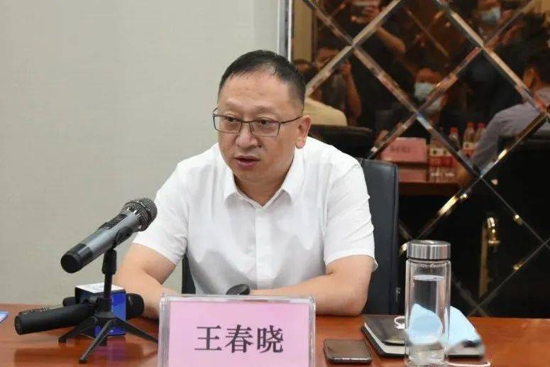 王春晓最新观点论述摘要