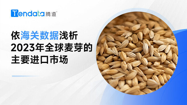 麦芽最新税操作指南，从入门到进阶的全面指导