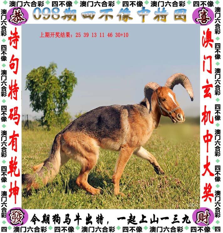 2024新奥正版资料四不像,实时处理解答计划_轻奢版89.828