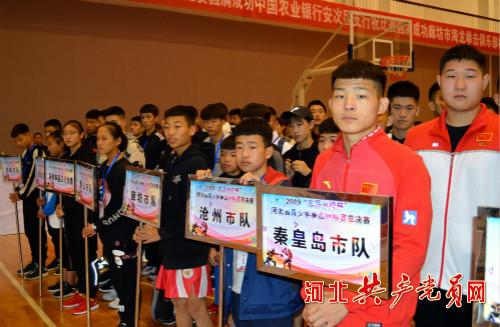 河北驾校最新动态，小巷里的驾驶梦想实现地
