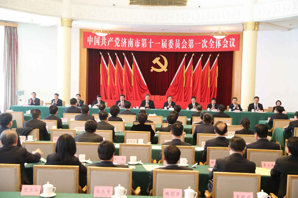 网王文最新阅读指南，快速掌握网络文学阅读技巧与资源获取步骤