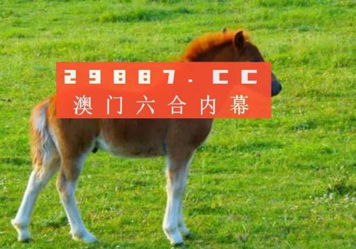 今晚澳门必中一肖一码适囗务目,实地研究解答协助_本地版28.542