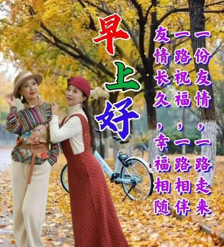 襄阳成工工程机械 第71页