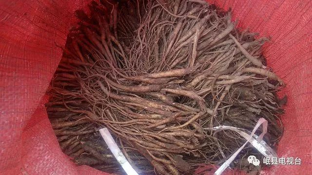 襄阳成工工程机械 第59页