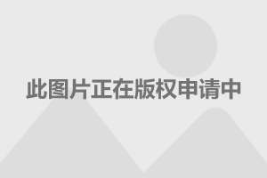 襄阳成工工程机械 第50页