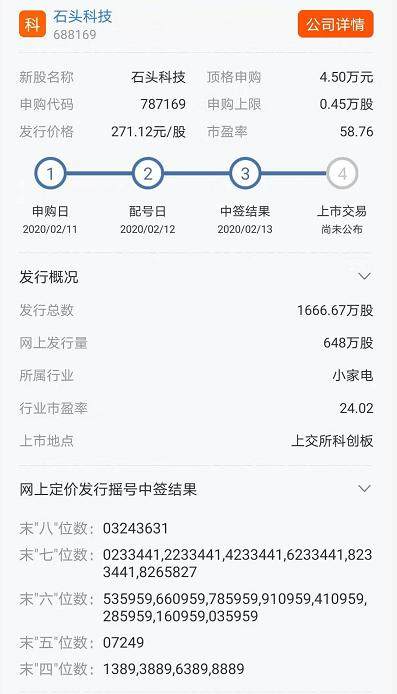 中签上市日深度解析及观点阐述，新股上市之路的洞察与探讨