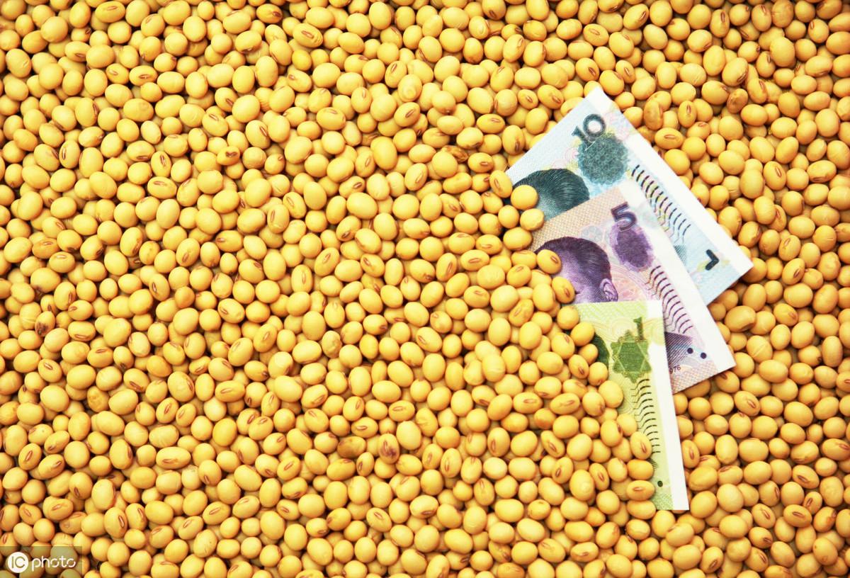 最新黄豆价格揭秘与行情分析🌱