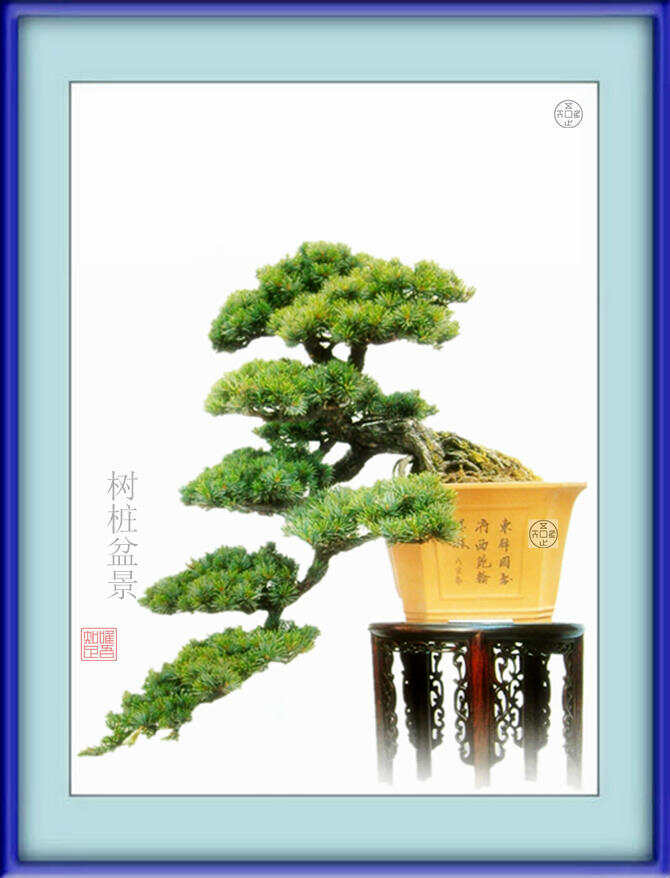 工程机械设备价格 第24页