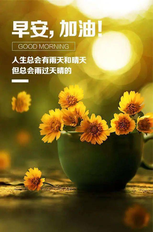 最新早安歌，晨间的温馨旋律与奇妙故事启动新一天的美好旅程