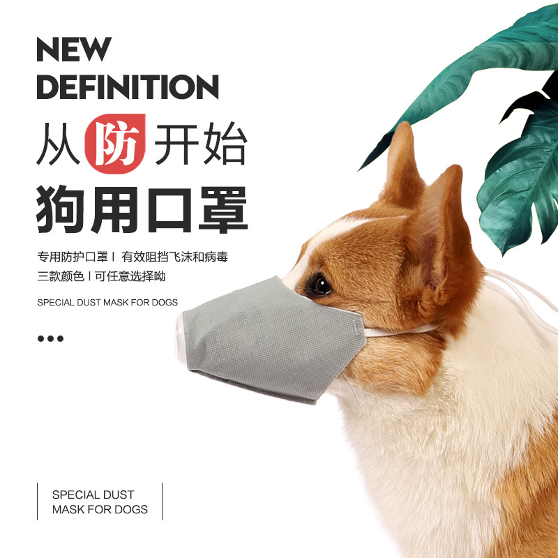 最新狗狗口罩，选购、使用与适应的详细指南